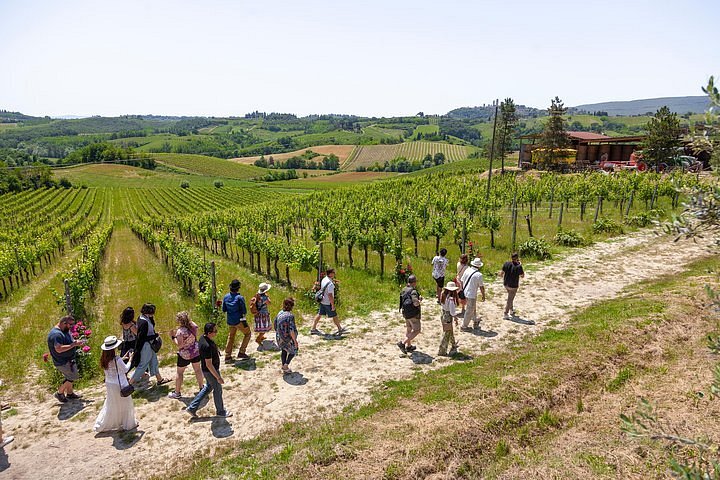tripadvisor tuscany wine tour