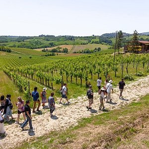 tuscany tours by golden travel