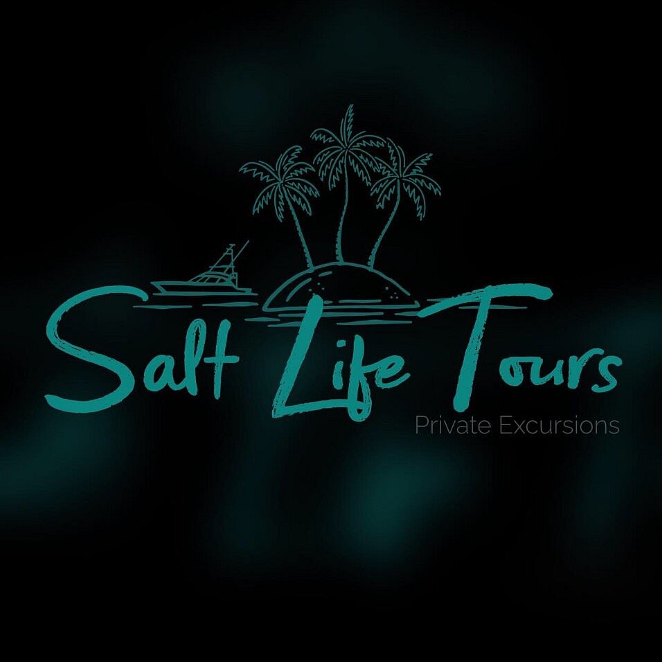 Salt Life Tours Antigua - All You Need to Know BEFORE You Go (2024)