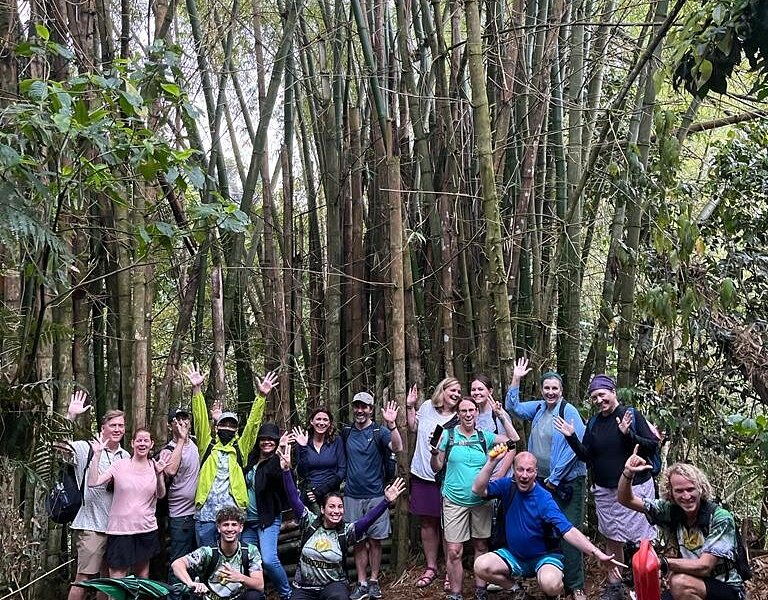 el yunque tours tripadvisor