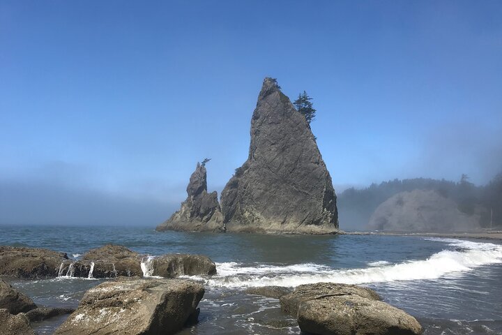 2024 Private Day Hike- Rialto Beach Tide Pooling