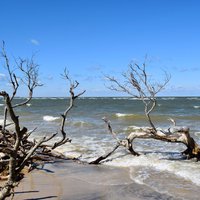 Savage Neck Dunes Dunes Natural Area Preserve (Eastville) - All You ...