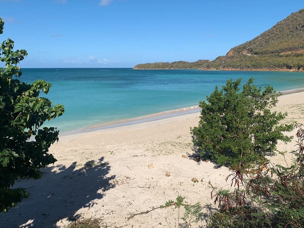 Antigua Island Paradise (St. John's) - All You Need to Know BEFORE You Go