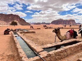 Deserto com areia movediça - Avaliações de viajantes - Wadi Araba Desert -  Tripadvisor