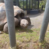 Auckland Zoo (Auckland Central) - All You Need to Know BEFORE You Go