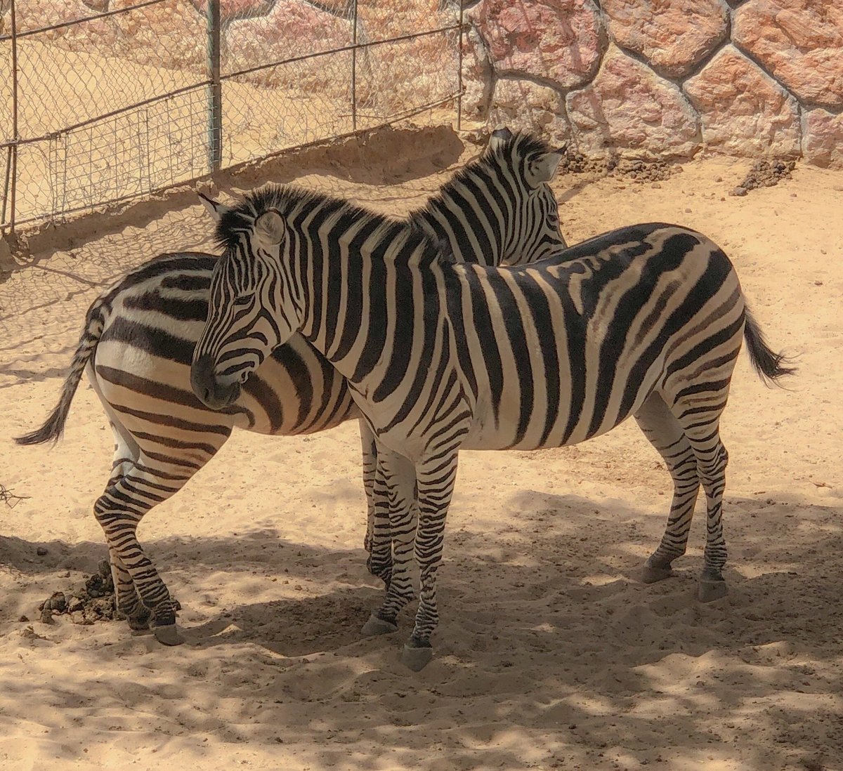 Recreativo San Jorge (Ciudad Juarez) - ATUALIZADO 2023 O que saber antes de  ir - Sobre o que as pessoas estão falando - Tripadvisor