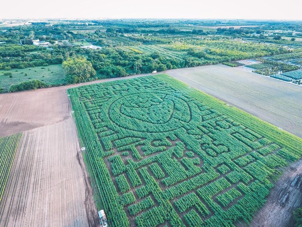 The Berry Farm (Miami, FL): Hours, Address - Tripadvisor