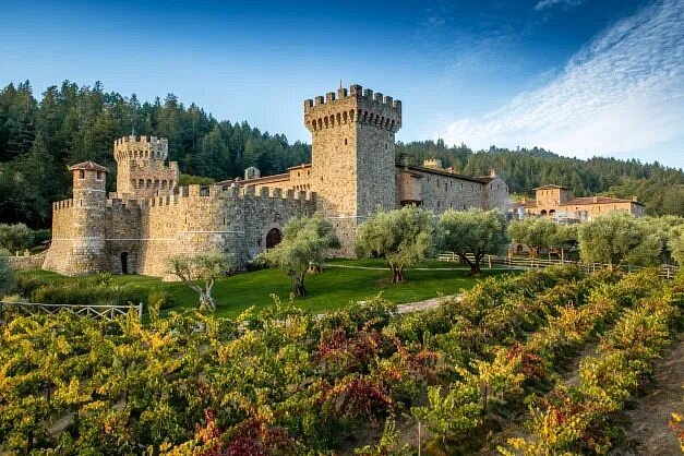 Vineyards and stone exterior of castle with turrets