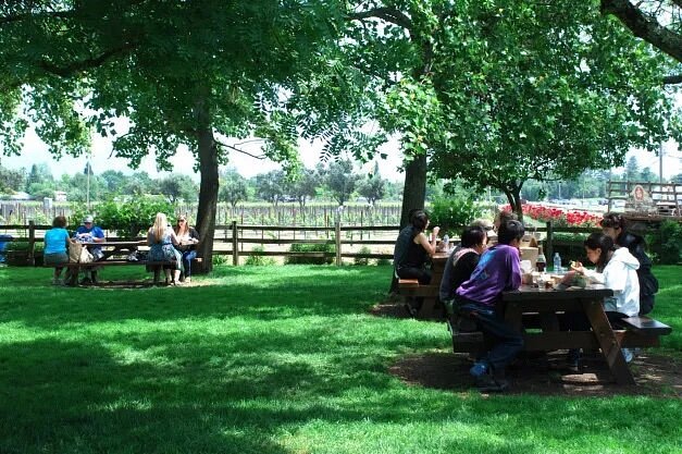 People sitting at outdoor picnic tables