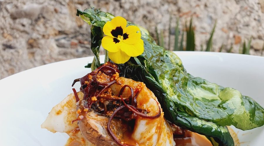 Titadito caliente de Guajillo. Es un Huachinango pochado con hongos, salsa tiradito caliente y Masago.

Platillo insignia de Nami Nori, imperdonable que te vayas sin probarlo. Nuestra recomendación, degustarlo con vino blanco ò Sake.