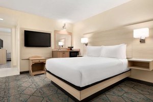 Room & Suite