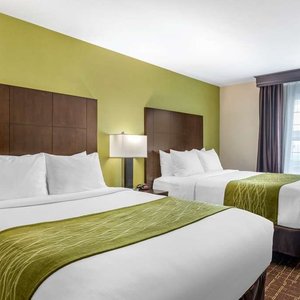 Guest room with queen bed(s)