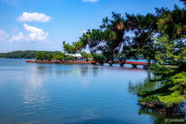 2025年 ときわ公園 - 出発前に知っておくべきことすべて
