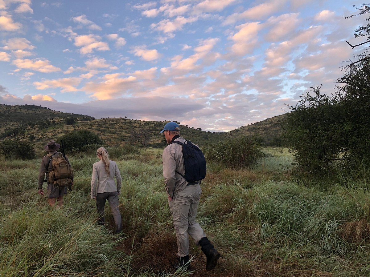 walking safari pilanesberg