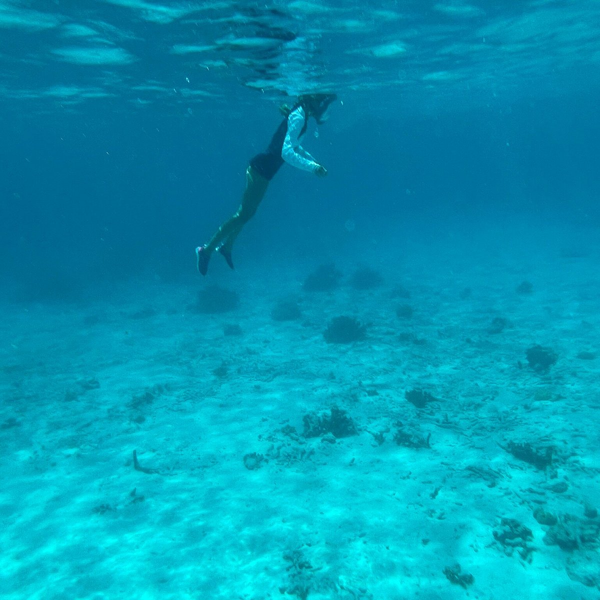 Pink Beach (Bonaire) - All You Need to Know BEFORE You Go