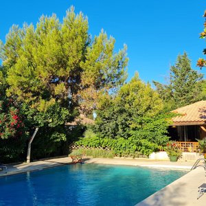 piscine le matin
