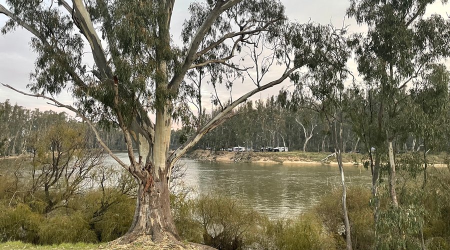 Tocumwal Foreshore