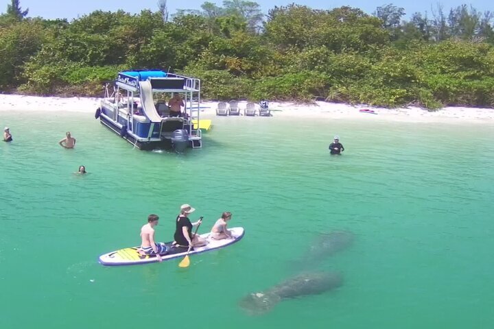 Discover Shell Beach, Sarasota, FL: A Hidden Gem for Travelers