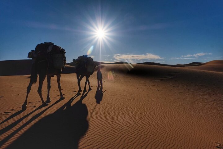 2024 Marrakech 7 Days Sahara Desert Wonders Trek From Marrakech To M   Caption 