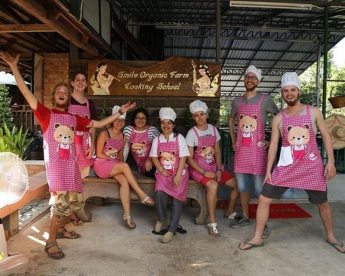 Half-Day Thai Cooking Class at Organic Farm in Chiang Mai