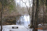 Blue Springs of Saula