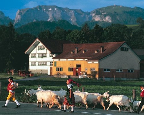best places to visit around zurich