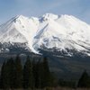 oregonpoppa