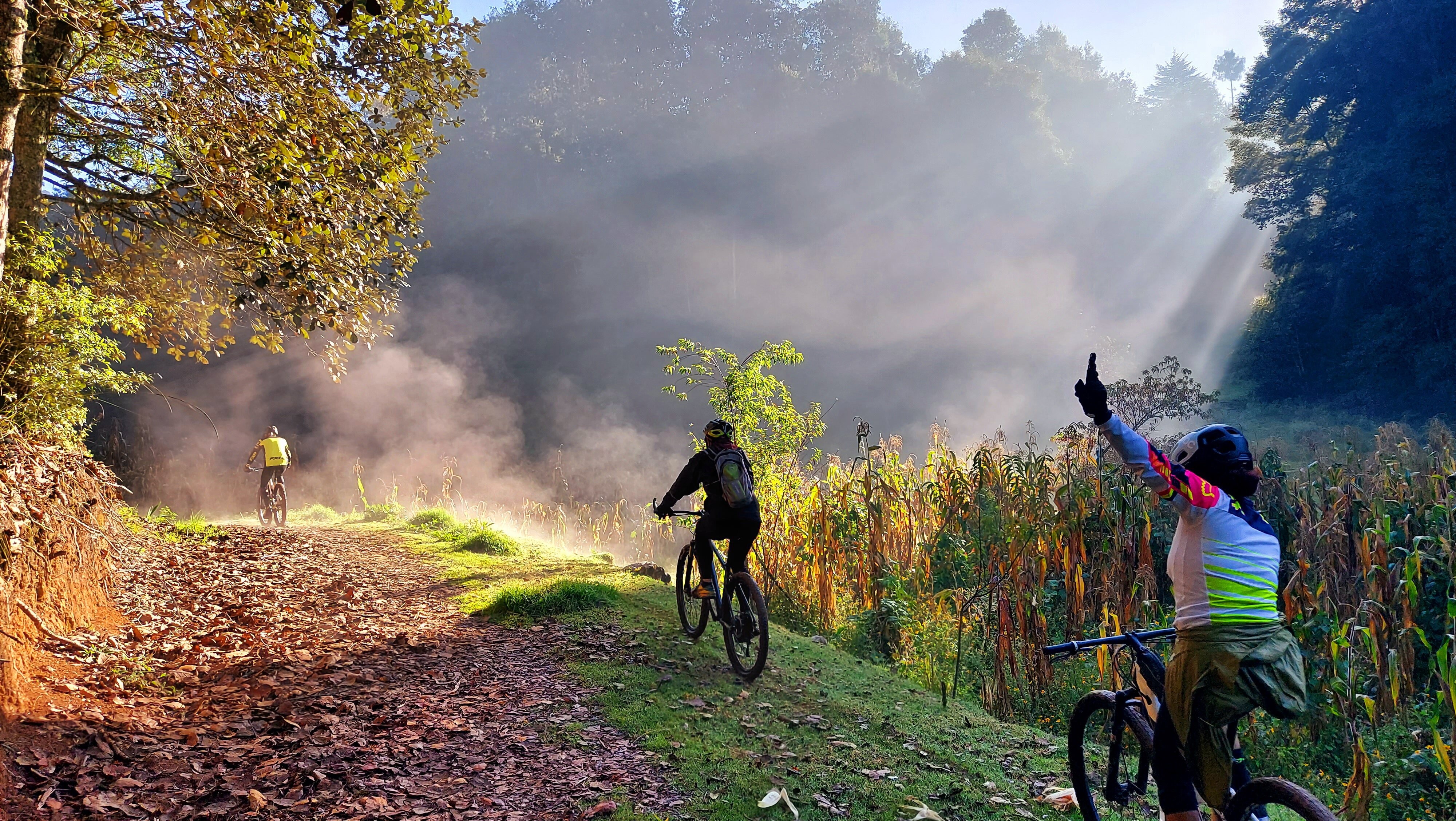 Bicicleteria en 2025 san cristobal