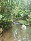 Colo-I-Suva Forest Park - All You Need to Know BEFORE You Go