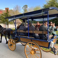 Jaunting Car Tour to Ross Castle from Killarney | Ireland