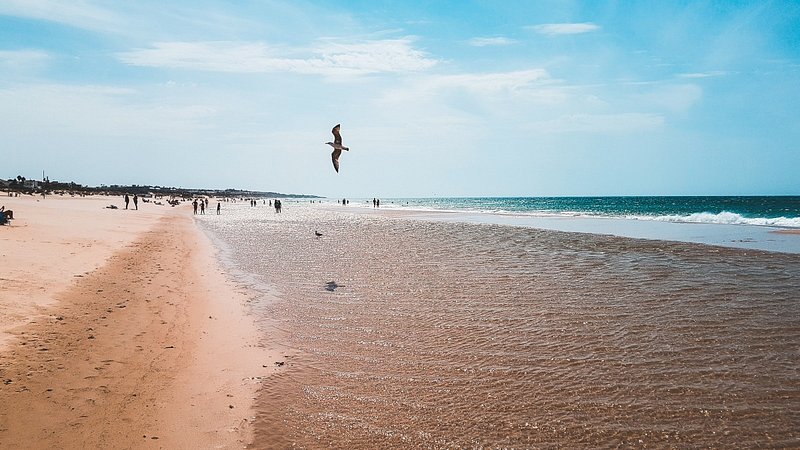 Playa de la Barrosa en Chiclana, Cádiz (España)