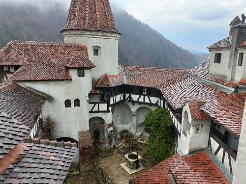 Transylvania victorm1 review images