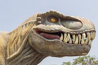 Expo Parque de los Dinosaurios (Orizaba) - 2023 Lo que se debe saber antes  de viajar - Tripadvisor