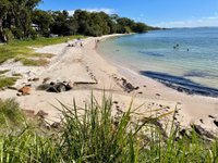 Dutchmans Beach (Nelson Bay): All You Need to Know