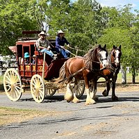 Rockhampton Heritage Village: All You Need to Know BEFORE You Go