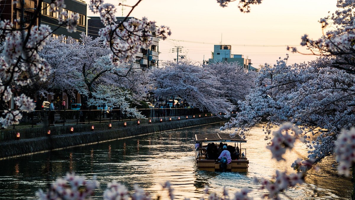 Sunset Cruise in Kyoto Japan