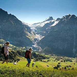 THE TOP 15 Things To Do in Swiss Alps (UPDATED 2024)