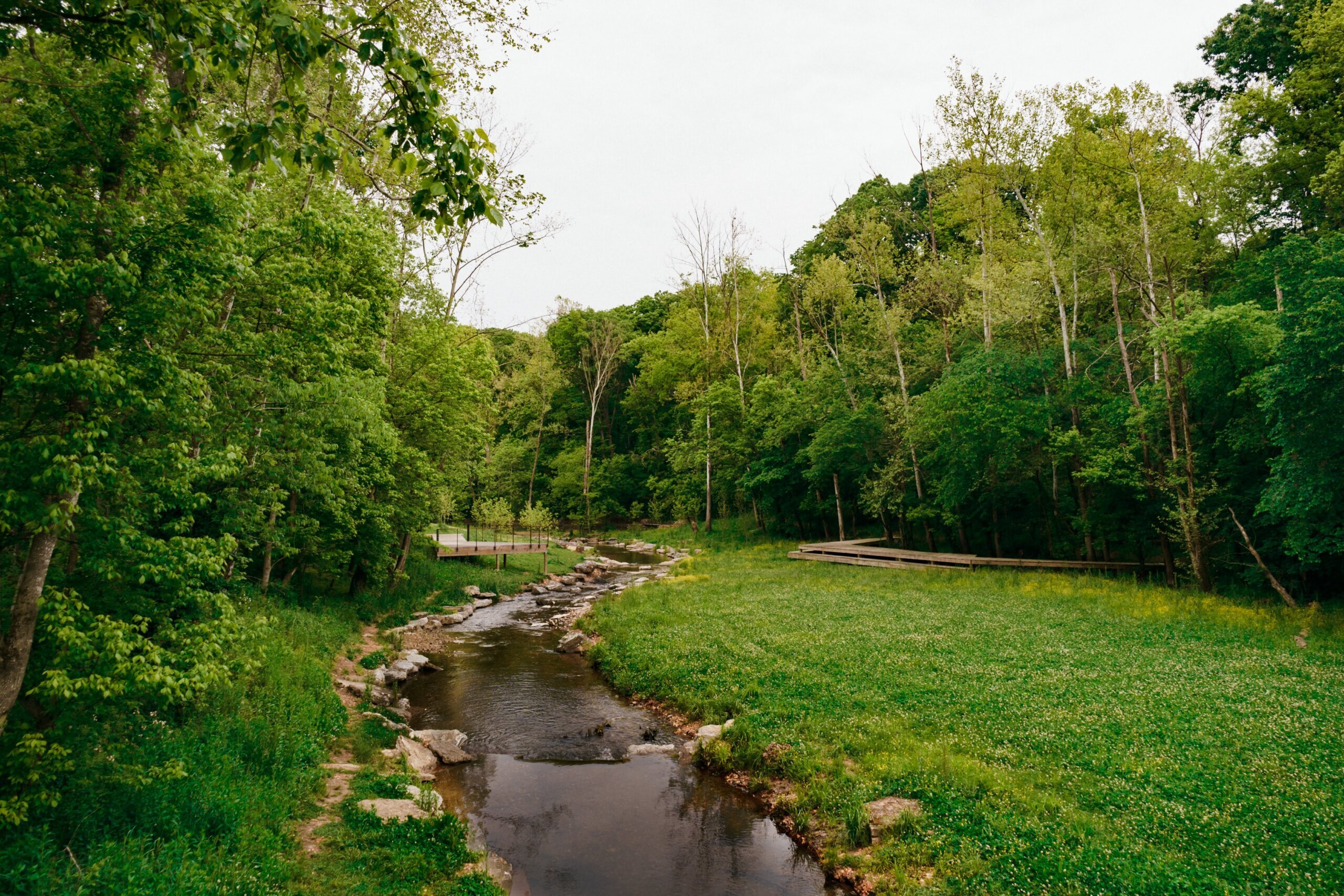 COLER MOUNTAIN BIKE PRESERVE 2024 All You Need to Know BEFORE You Go with Photos