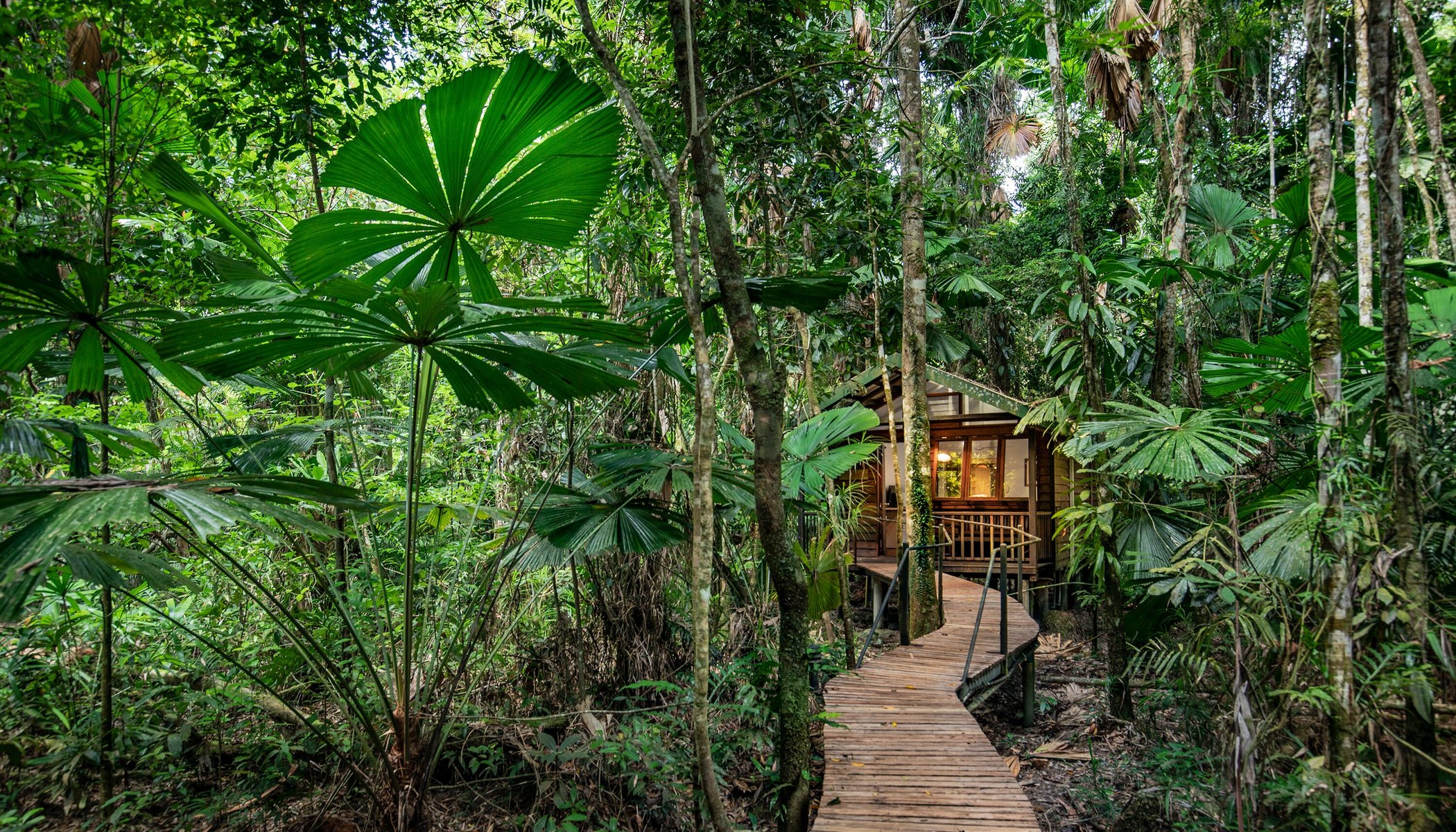 Daintree Wilderness Lodge by null