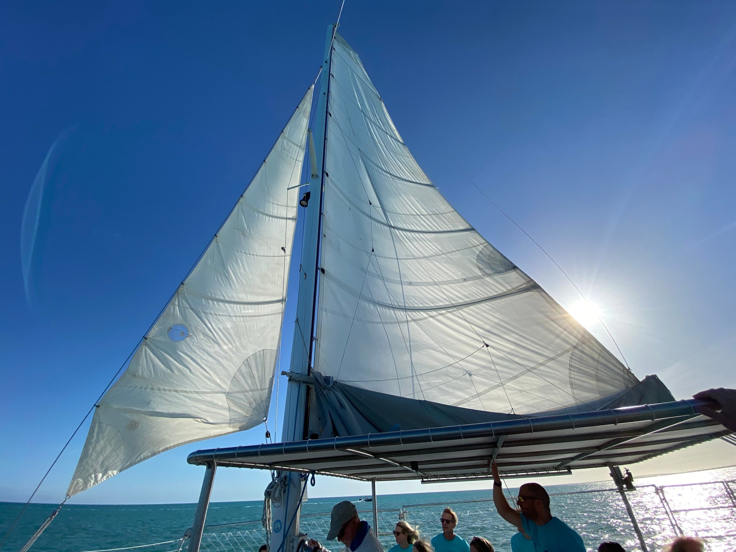 sailing catamaran sirius reviews