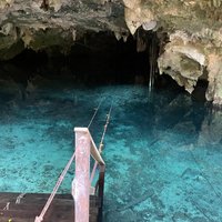 jungle yoga tulum