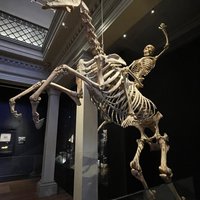 Australian Museum (Sydney) - All You Need to Know BEFORE You Go