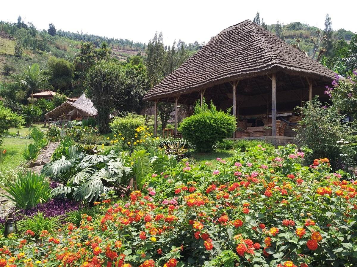 ARAUCARIA RESIDENCE Hotel 【 Gisenyi, Rwanda 】 Find the Best Prices with  Hotala™