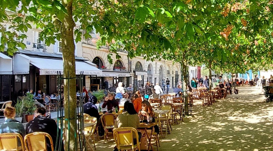 Place Dauphine , sous les Marronniers en fleur //Place Dauphine, under the chestnut trees in bloom