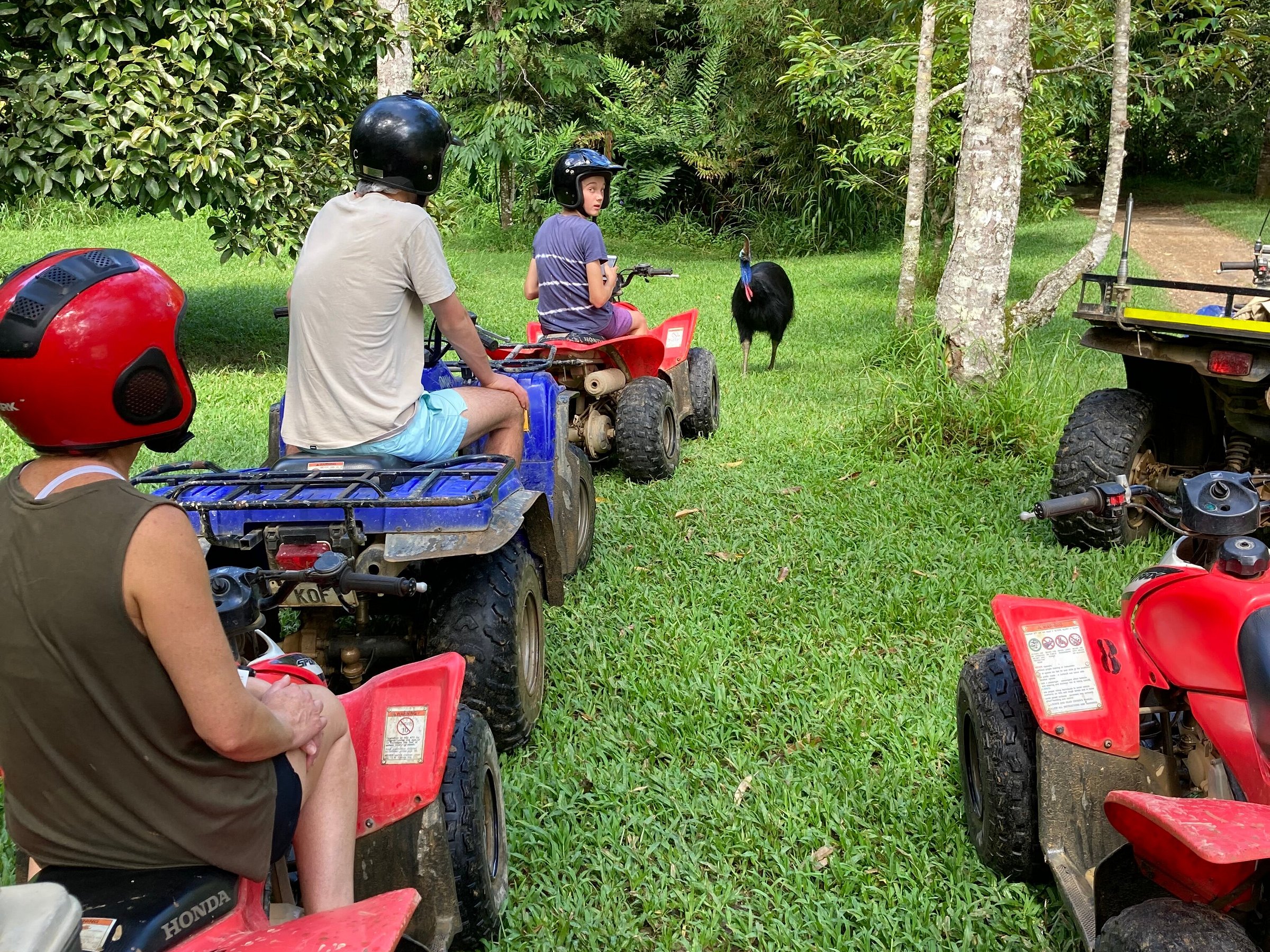 kuranda atv tours