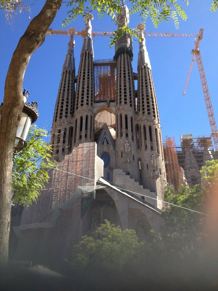 Imagen 7 de Gaudi Sagrada Familia