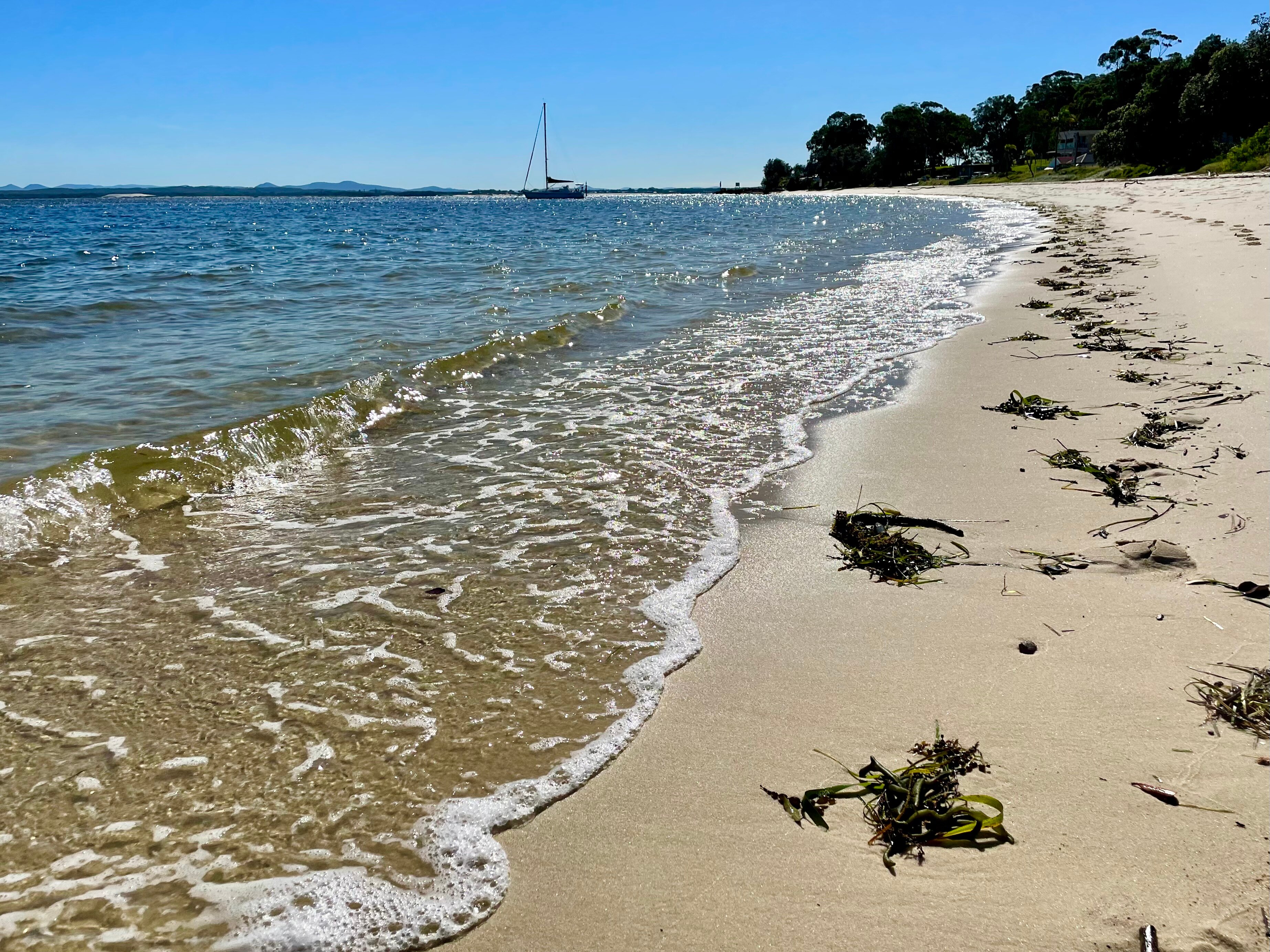 NELSON BAY BEACH - 2023 All You Need To Know BEFORE You Go