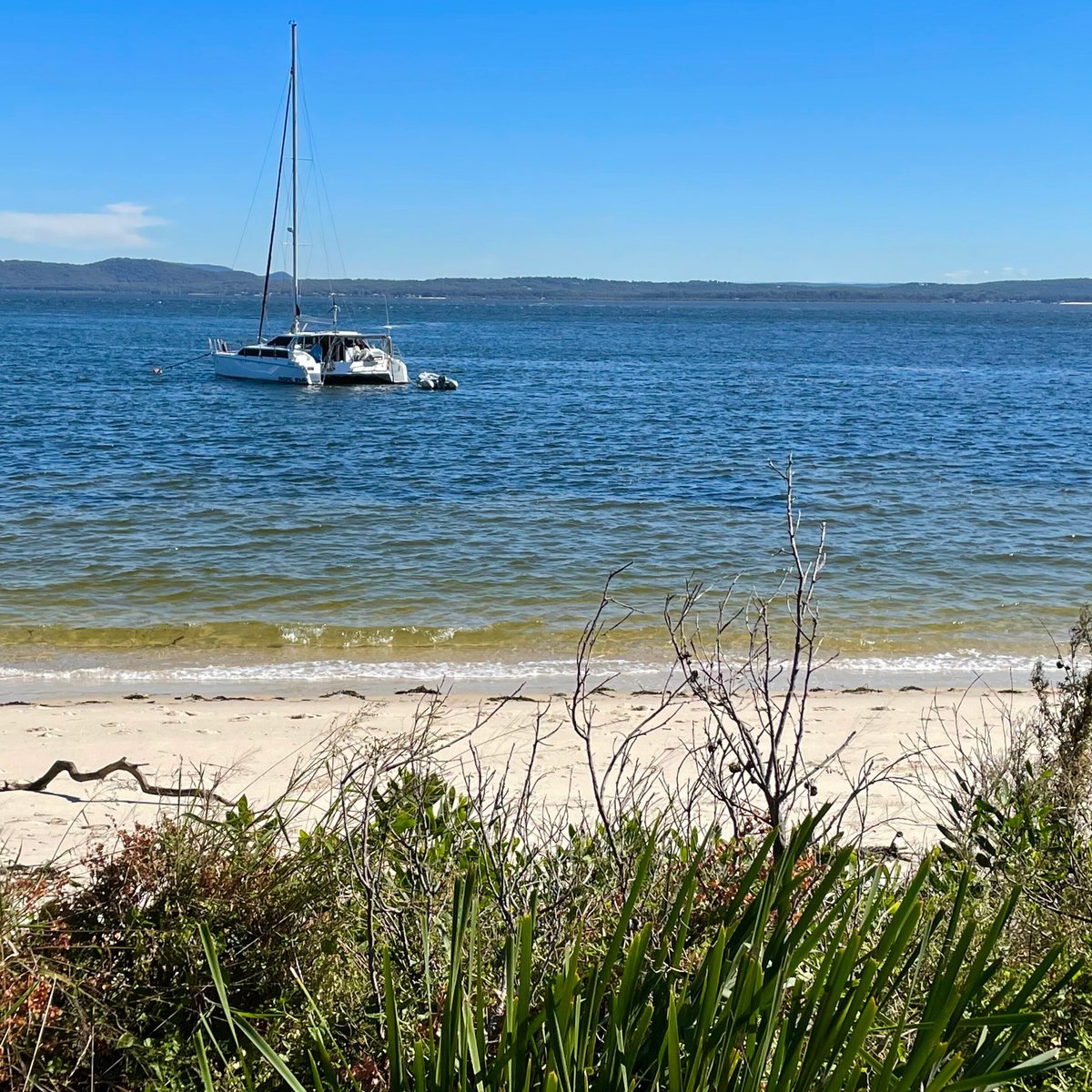 Nelson Bay Beach All You Need to Know BEFORE You Go (2024)