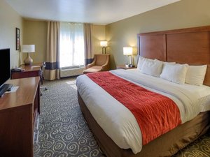 Room & Suite