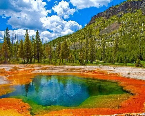 day tours of yellowstone national park